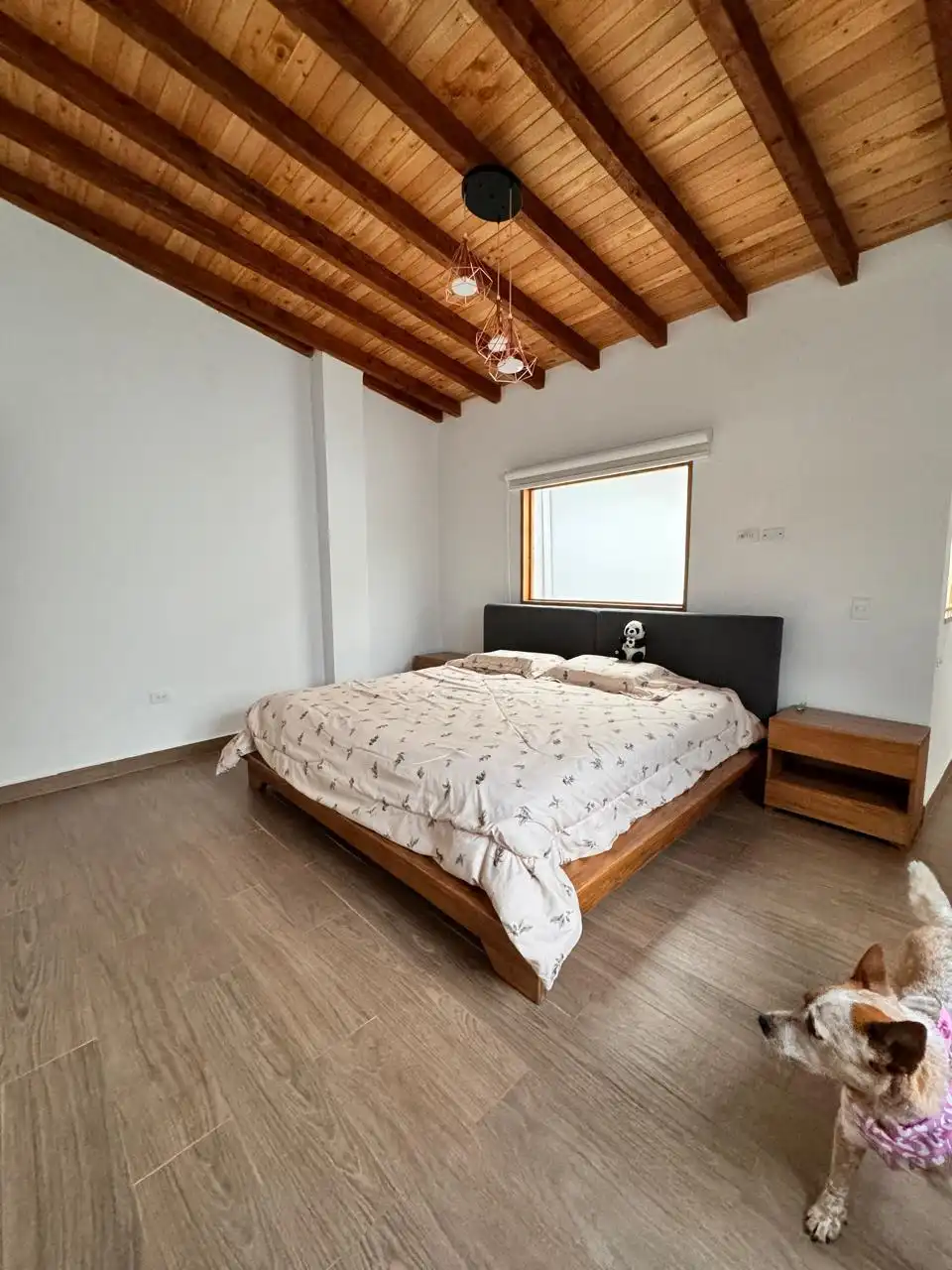 Suite principal vista 1