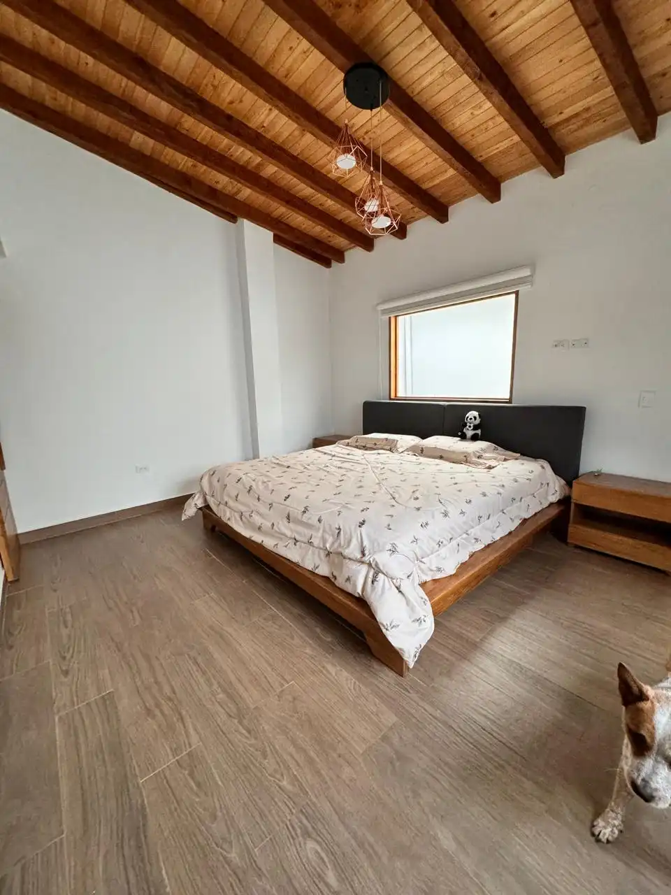 Suite principal vista 2
